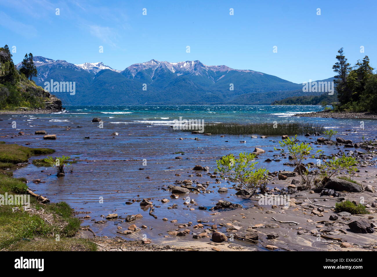 Parco Nazionale Los Alerces (Alerces National Park), Patagonia, Argentina, Sud America Foto Stock
