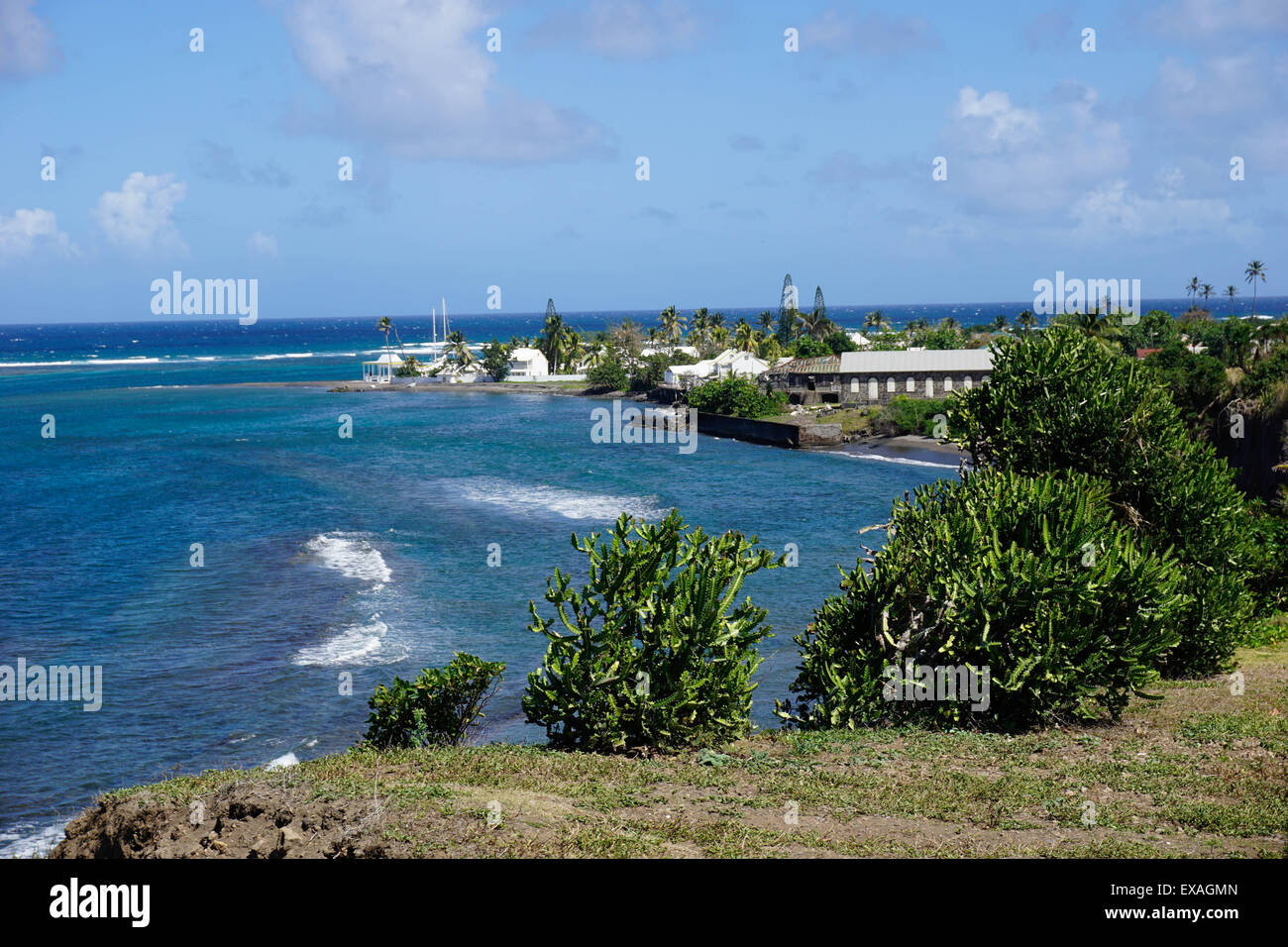 Costa atlantica, Saint Kitts, Saint Kitts e Nevis, Isole Sottovento, West Indies, dei Caraibi e America centrale Foto Stock