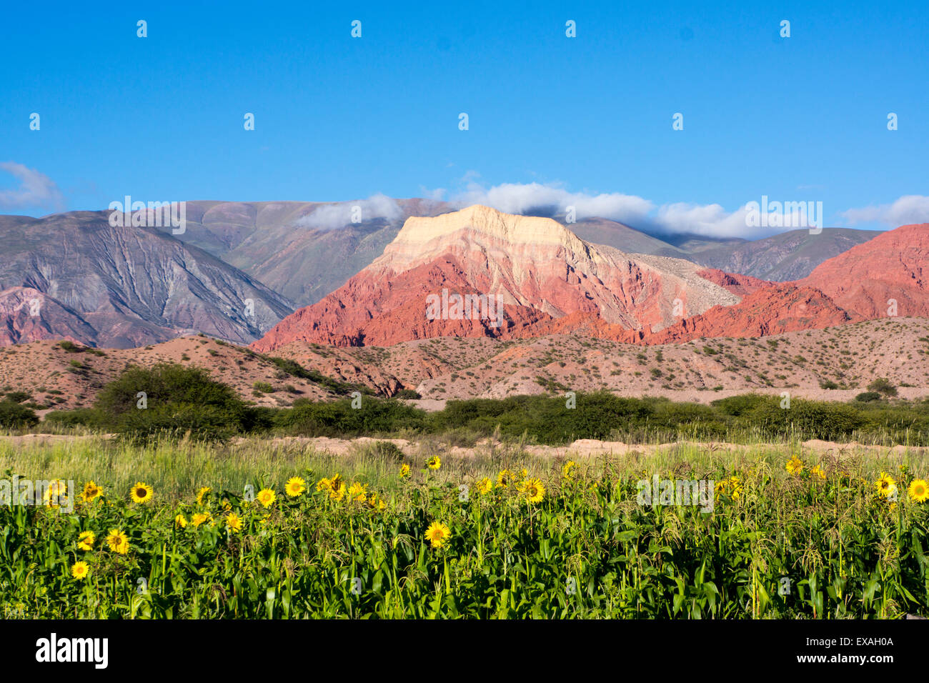 Montagne colorate, Salta district, Argentina, Sud America Foto Stock