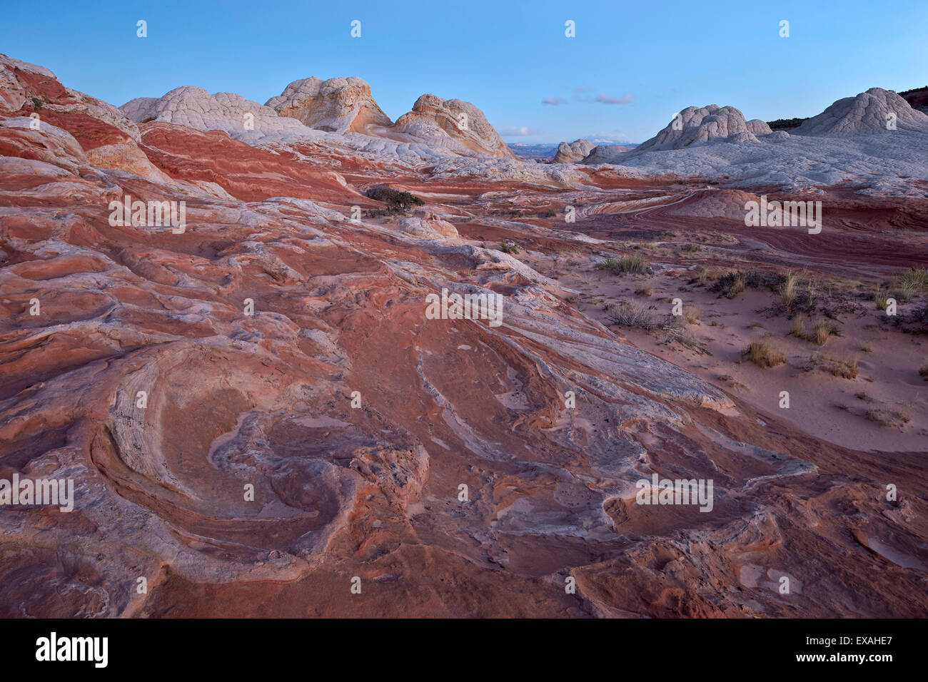 Rosso e bianco arenaria volute all'alba, tasca bianco e vermiglio scogliere monumento nazionale, Arizona, Stati Uniti d'America Foto Stock