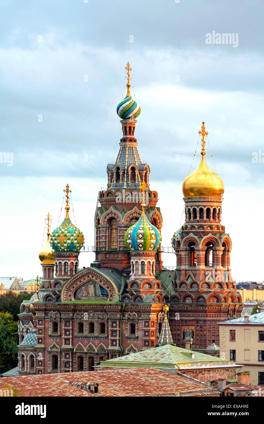 Cupole della Chiesa del Salvatore sul Sangue versato, Sito Patrimonio Mondiale dell'UNESCO, San Pietroburgo, Russia, Europa Foto Stock