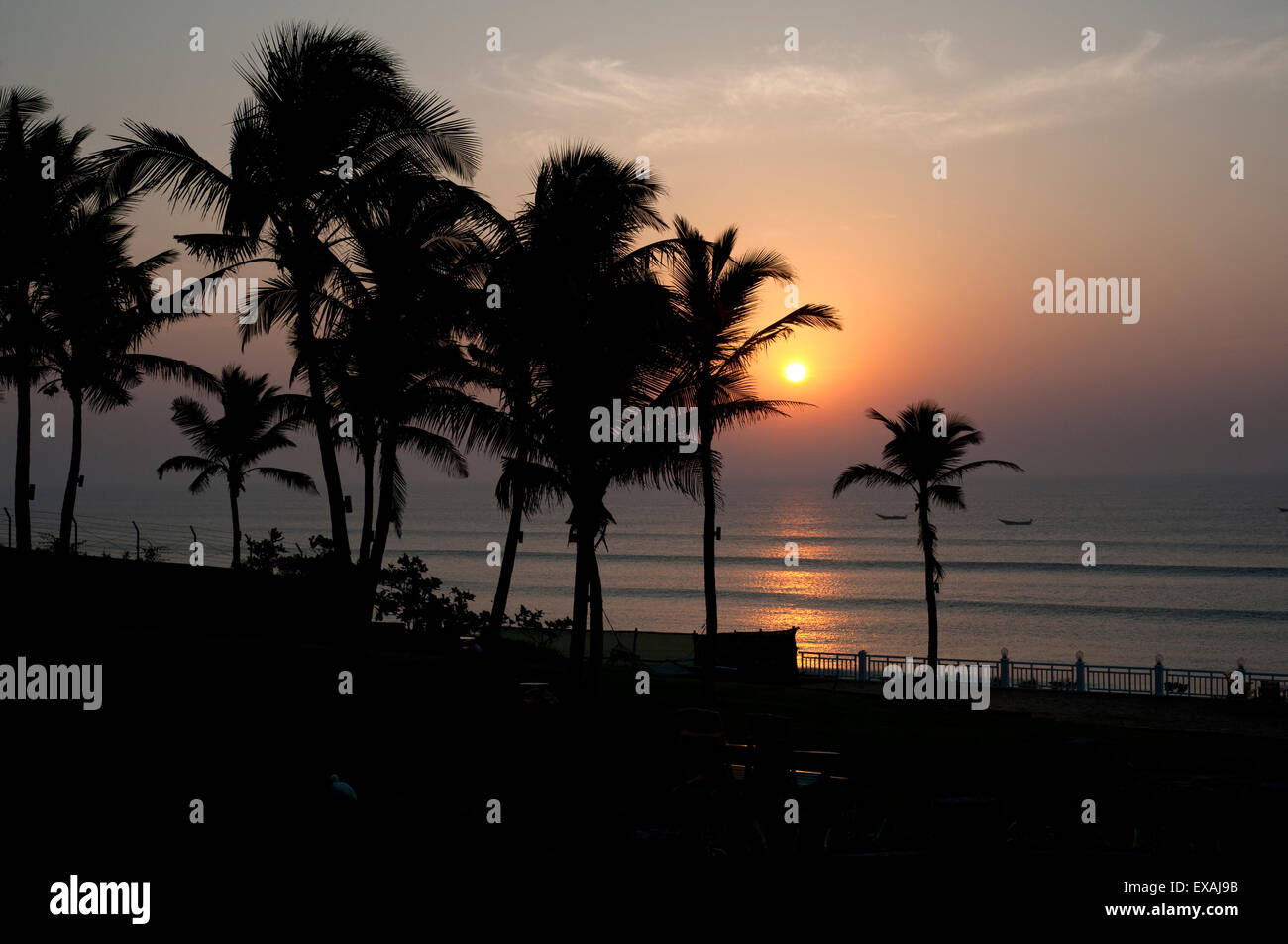 Il sorgere del sole sulle acque del Golfo del Bengala, attraverso palme di cocco, Gopalpur on Sea, Orissa (Odisha), India, Asia Foto Stock