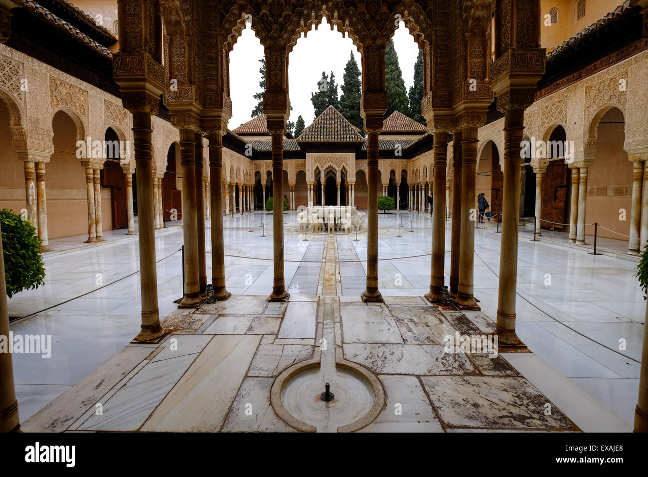 Palazzo dei Leoni (Palacio de Los Leones), la Alhambra, Sito Patrimonio Mondiale dell'UNESCO, Granada, Andalusia, Spagna, Europa Foto Stock