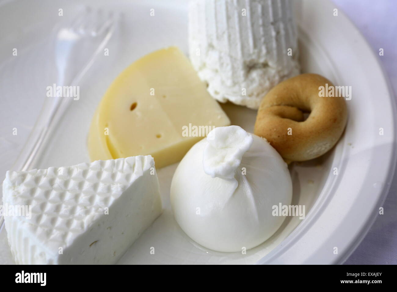 Appena fatti formaggi pugliesi, compresa la ricotta e Burrato, presso un caseificio vicino a Martina Franca, Puglia, Italia, Europa Foto Stock
