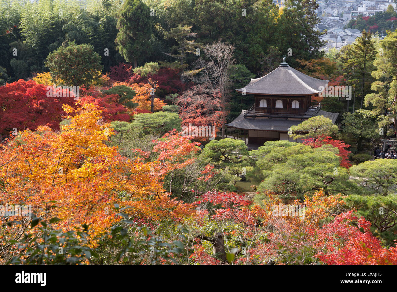 Il Padiglione di Argento e di giardini in autunno, tempio buddista di Ginkaku-ji, Higashiyama settentrionale, Kyoto, Giappone, Asia Foto Stock