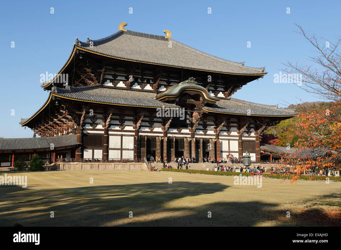 Il tempio buddista di Tempio di Todai-ji, il Sito Patrimonio Mondiale dell'UNESCO, Nara, Kansai, Giappone, Asia Foto Stock