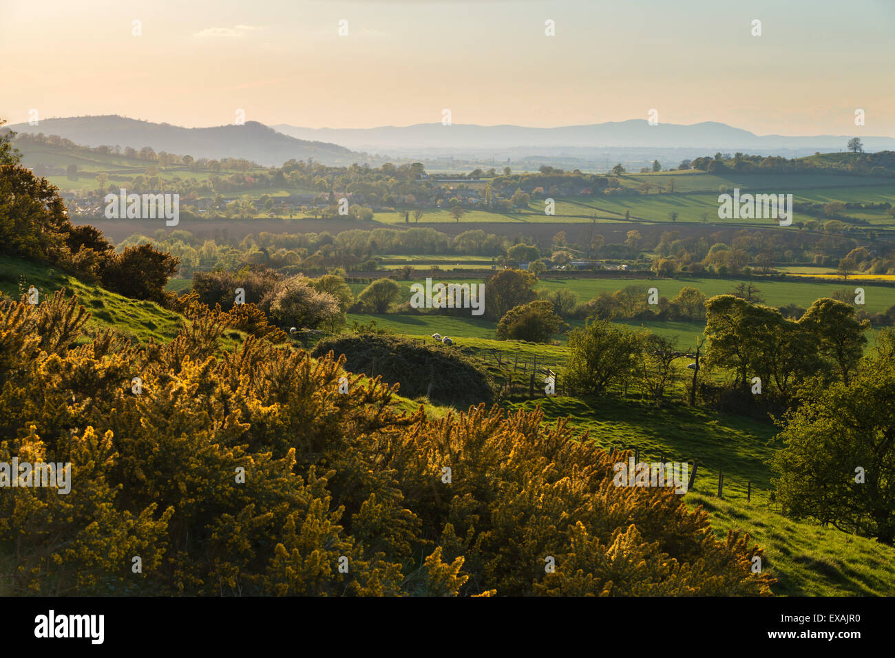 Cotswold paesaggio con vista di Malvern Hills, nei pressi di Winchcombe, Cotswolds, Gloucestershire, England, Regno Unito, Europa Foto Stock