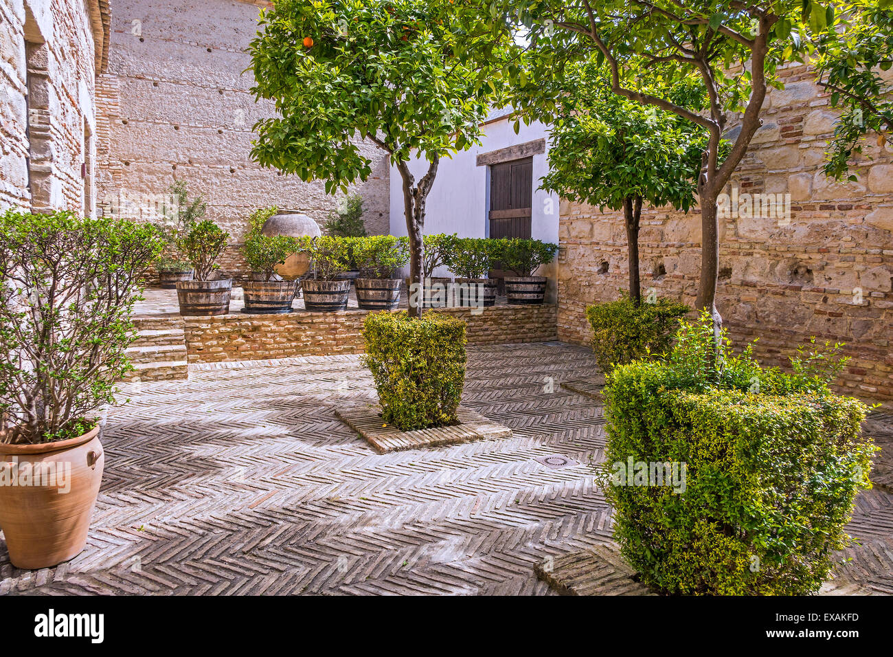 Patio con giardino pentole Alcazar di Jerez de la Frontera Andalusia Spagna Foto Stock