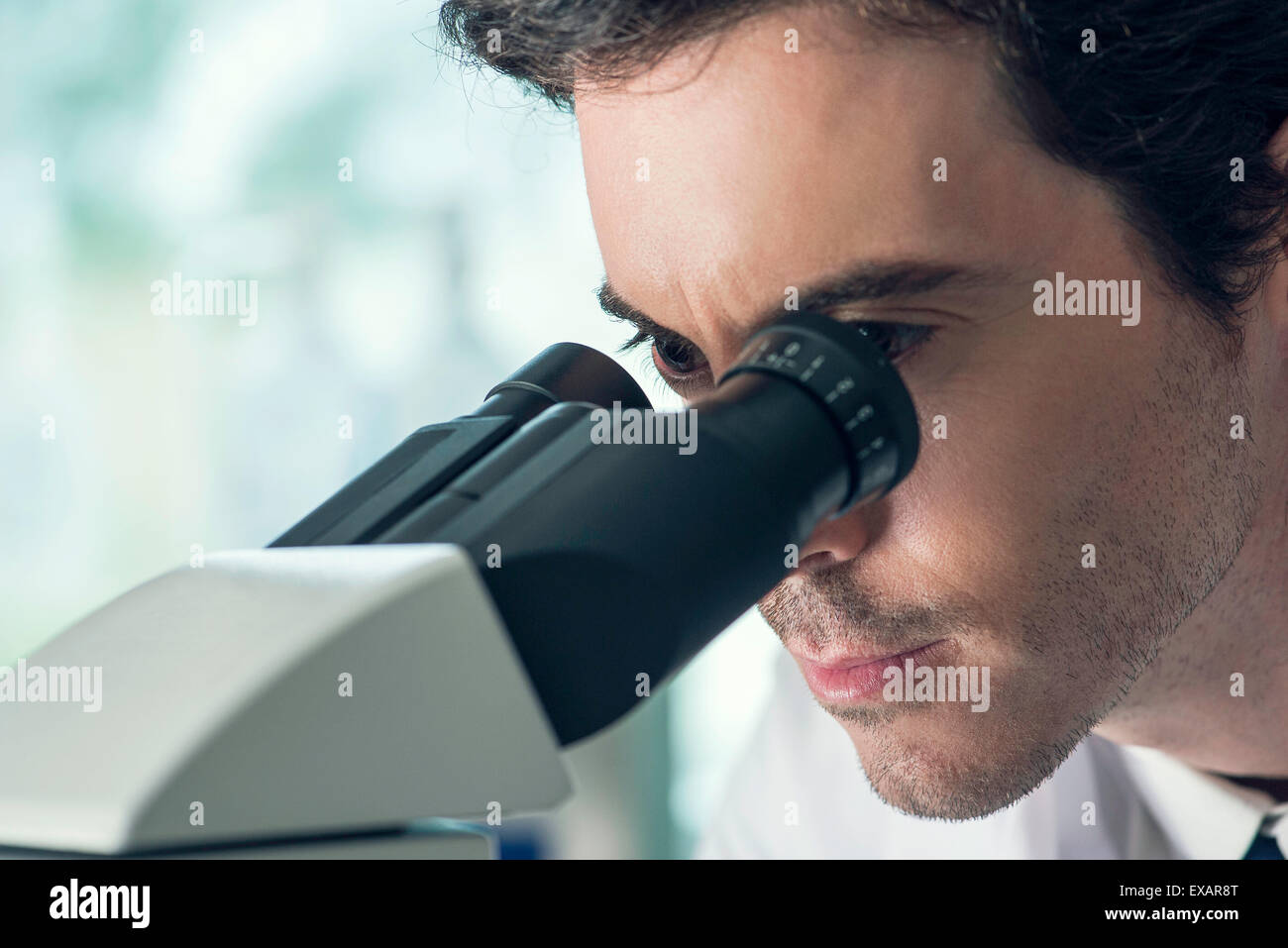 Studente utilizzando microscopio Foto Stock