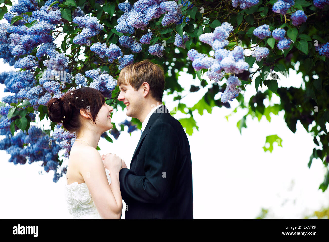 Sposa e lo sposo sotto arbusto lilla, Foto Stock