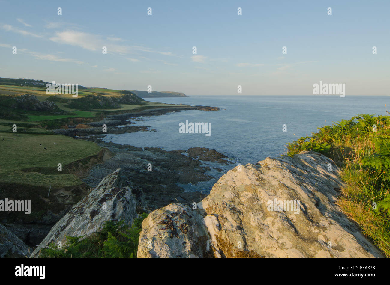 Vista lungo la costa a Oriente Prawle, Gammon Testa, Devon, West Coast, REGNO UNITO Foto Stock
