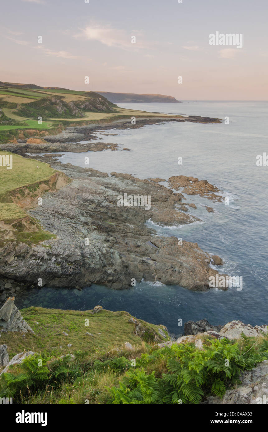 Vista lungo la costa a Oriente Prawle, Gammon Testa, Devon, West Coast, REGNO UNITO Foto Stock