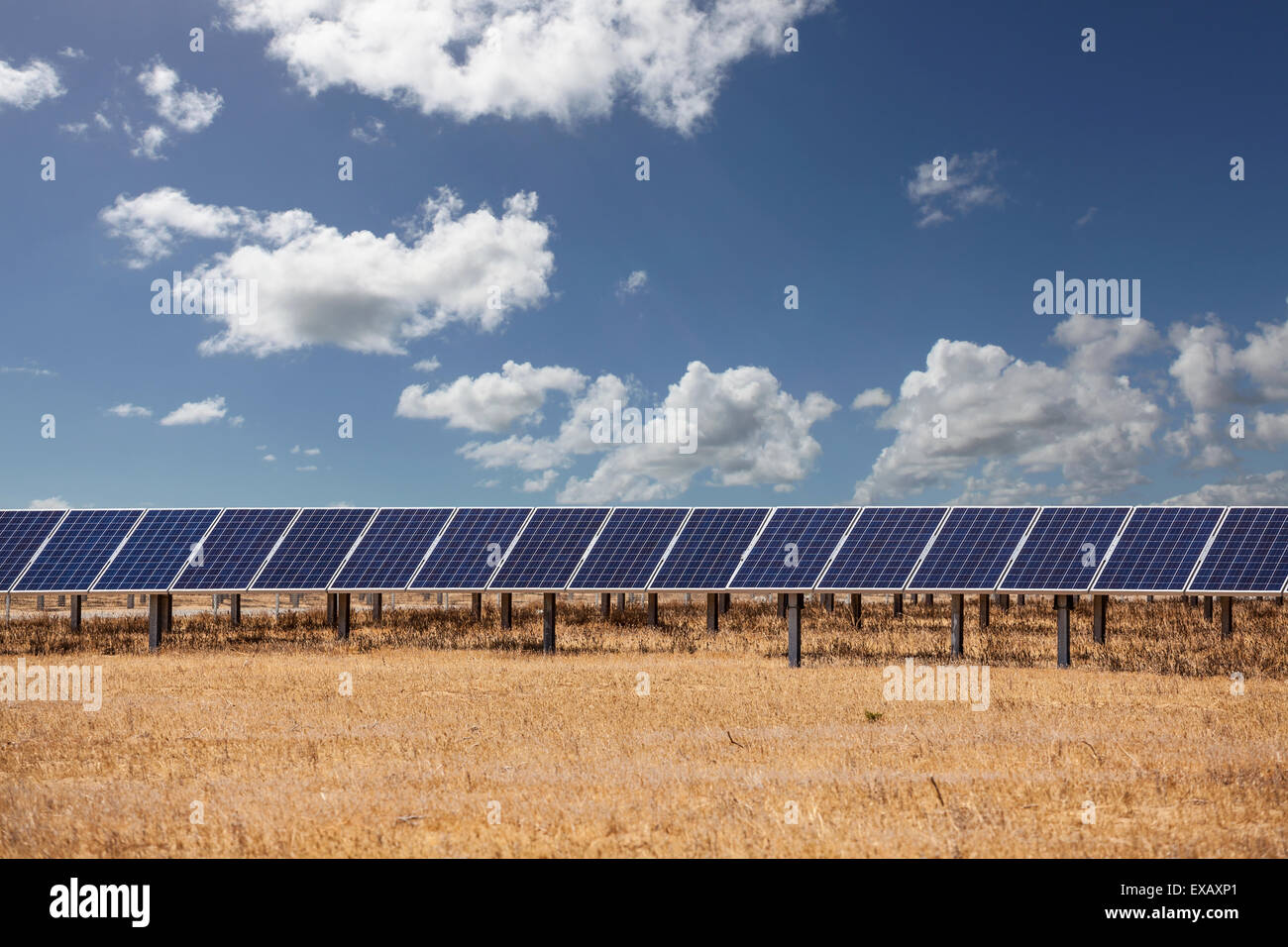 I pannelli solari con cielo blu e nuvole. Foto Stock