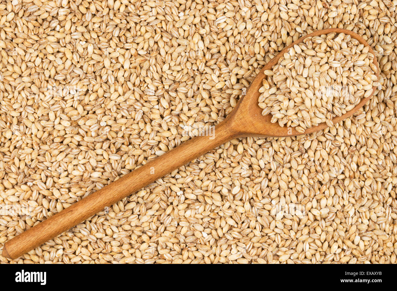 Il cucchiaio di legno con il farro, giace su di orzo perlato Foto Stock