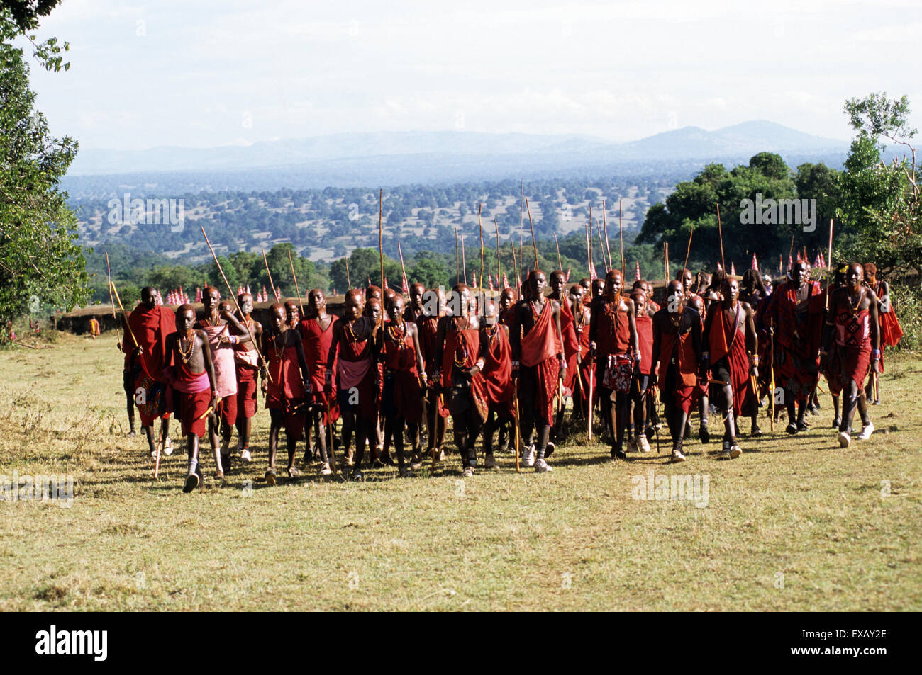 Lolgorian, Kenya. Siria Maasai Manyatta; un gruppo di giovani moran, rosso di colore ocra dei capelli corti, shell e decorazioni del tallone. Foto Stock
