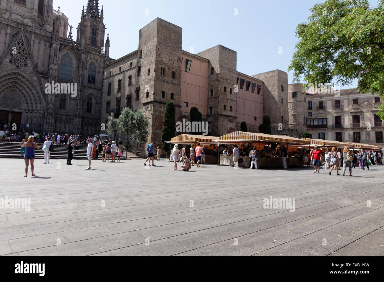 La cattedrale di Barcellona Foto Stock