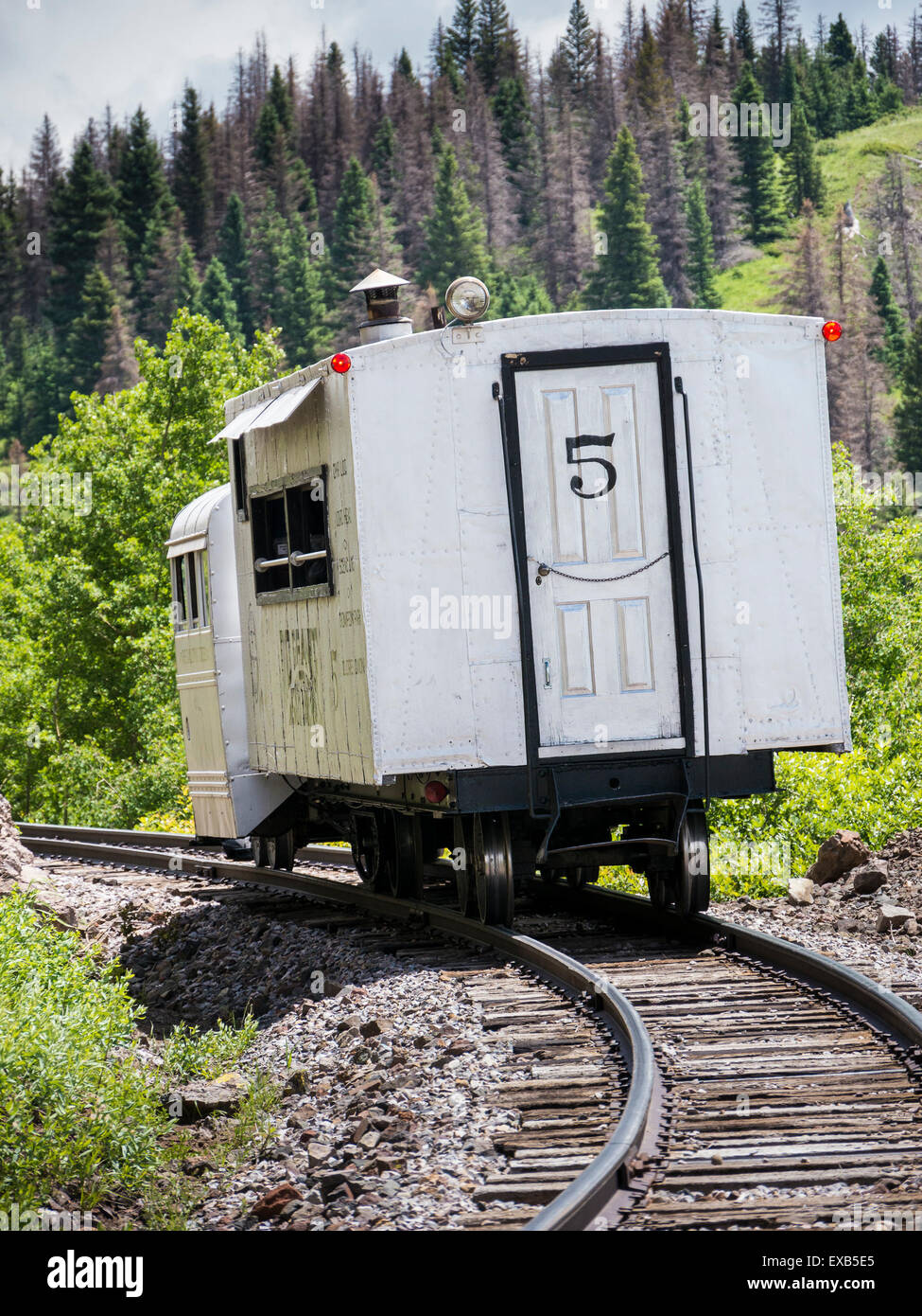 Oca galoppante #5 su Cumbres & Toltec Scenic Railroad vie tra Chama, Nuovo Messico, e Antonito, Colorado. Foto Stock