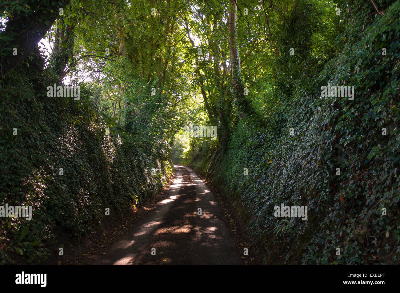 Campagna lane in Batheaston, bagno, Somerset, Inghilterra, Regno Unito Foto Stock
