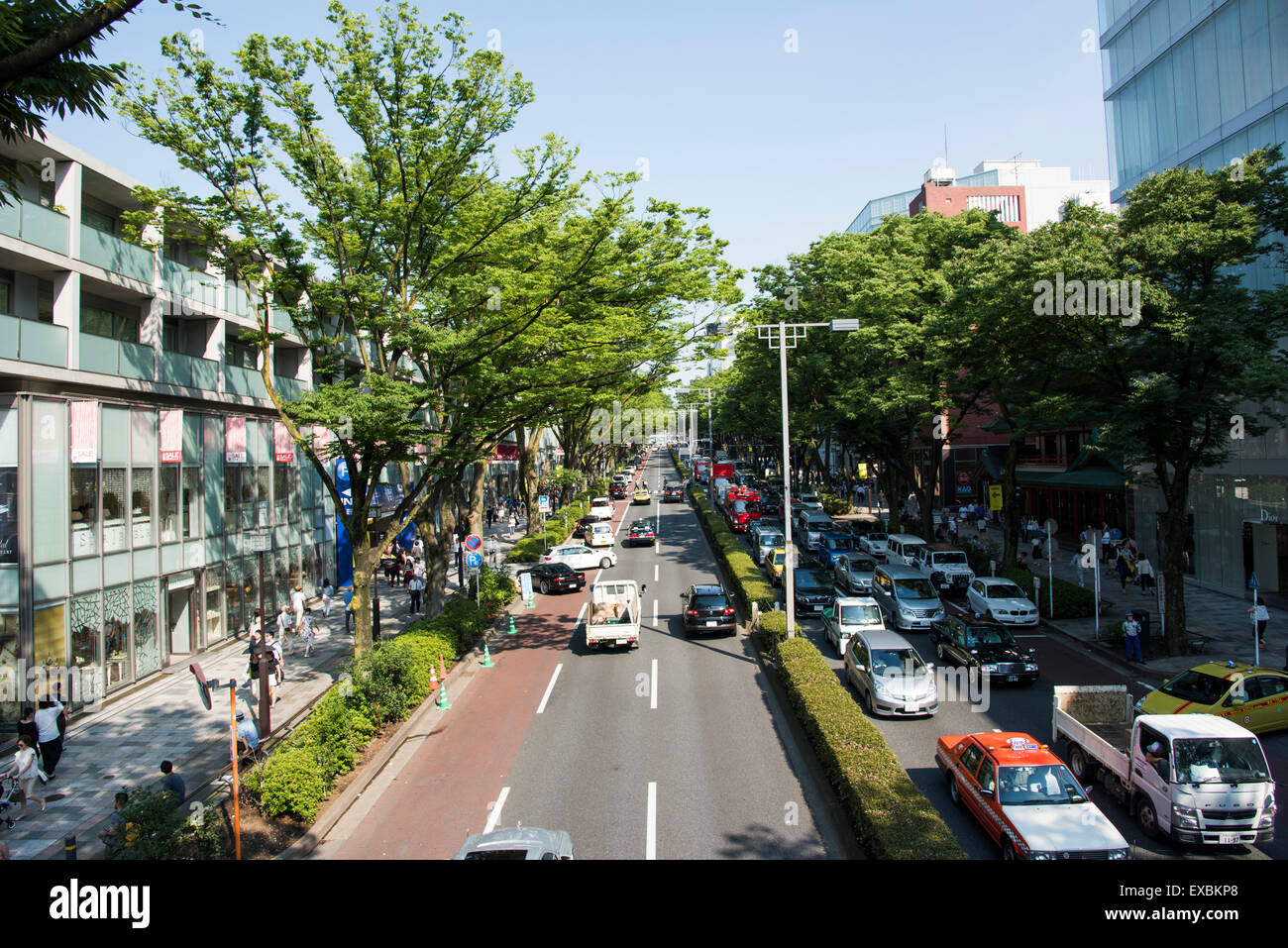 Colline di Omotesando,Shibuya-Ku,Tokyo Giappone Foto Stock