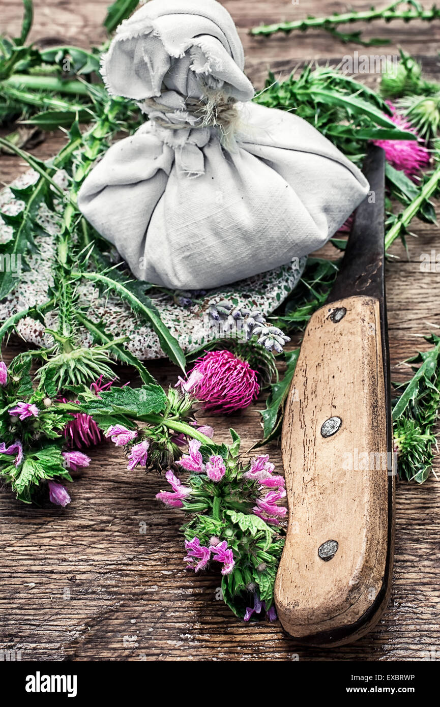 Approvvigionamento di medicinali delle erbe selvatiche thistle .Foto oscurata. Foto Stock