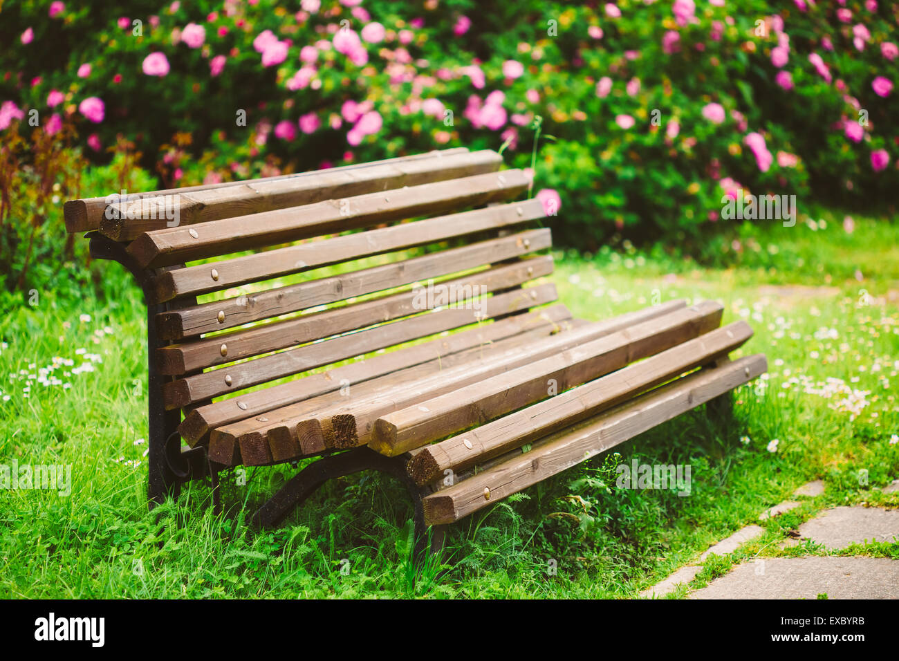 Panca in legno e fiori nel giardino. Bella Estate nel Parco Foto Stock