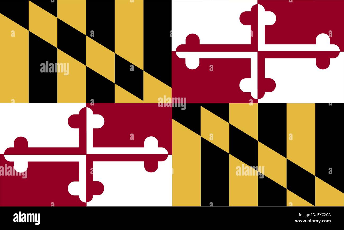 Maryland (USA) bandiera Illustrazione Vettoriale