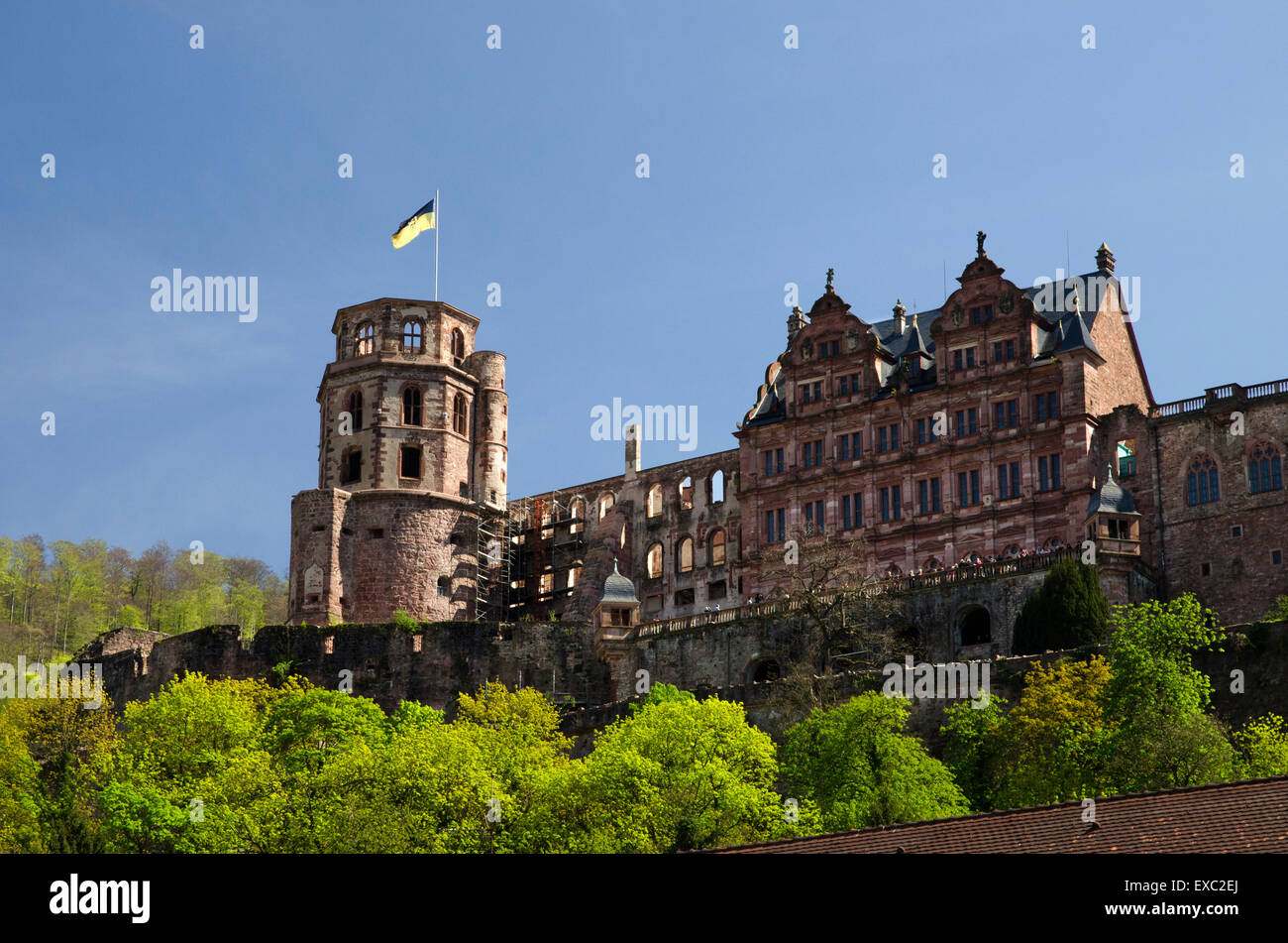 Il castello di Heidelberg Heidelberger Schloss da karlsplatz Germania Foto Stock
