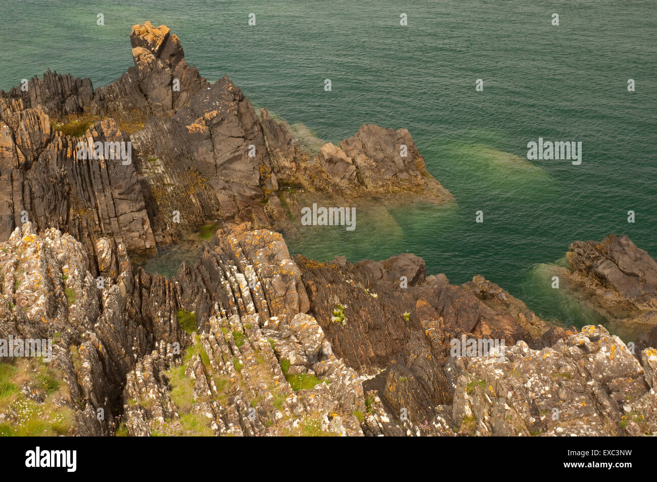 Isola di Whithorn litorale Foto Stock
