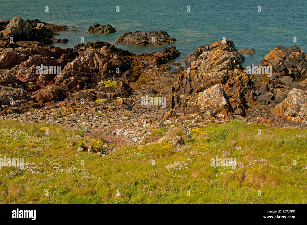 Isola di Whithorn litorale Foto Stock