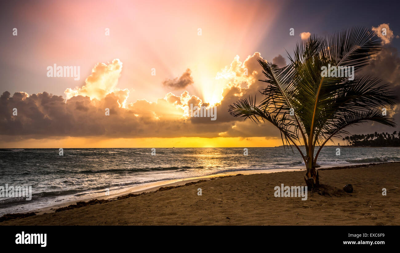Bella mattina sulla spiaggia caraibica in Repubblica Dominicana Foto Stock