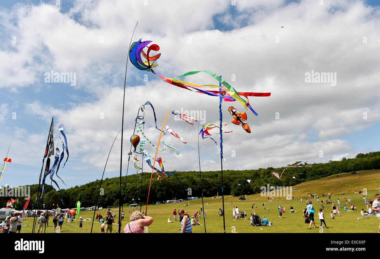 Brighton, Regno Unito. 11 Luglio, 2015. La folla godere della perfetta battenti meteo con sole caldo e una brezza il primo giorno dell'annuale Brighton Kite Festival che si svolge nel Parco Stanmer questo fine settimana fotografia scattata da Simon Dack Foto Stock