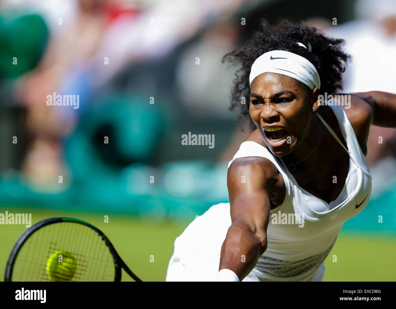 Il torneo di Wimbledon, Regno Unito. 11 Luglio, 2015. Il torneo di Wimbledon Tennis campionati. Donne Singoli Final tra il seme superiore Serena Williams (USA) e XX SEMENTI Garbine Muguruza (ESP). Serena Williams in azione Credit: Azione Plus sport/Alamy Live News Foto Stock