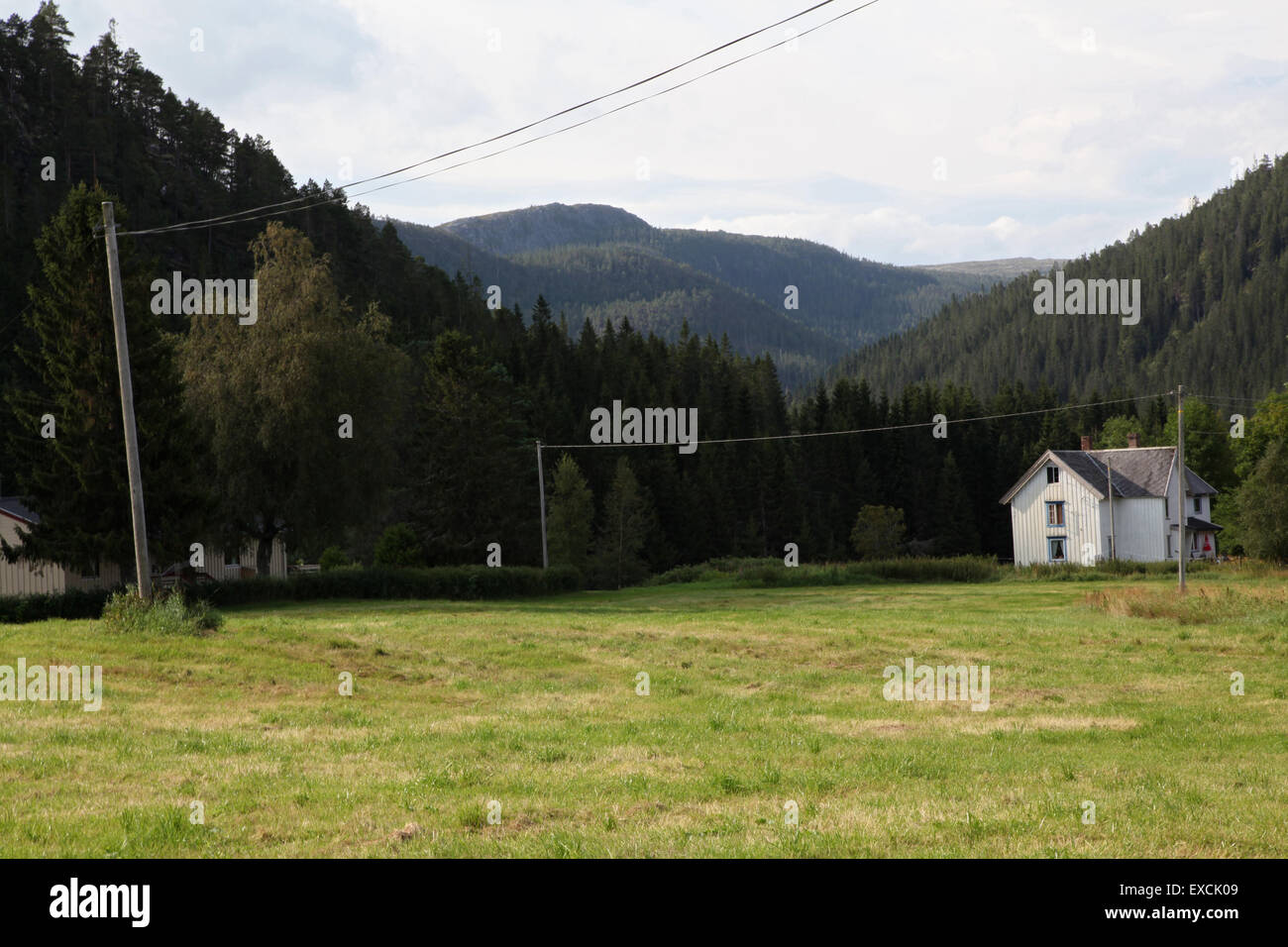 Casa bianca nel campo contro sfondo montuoso, Norvegia Foto Stock