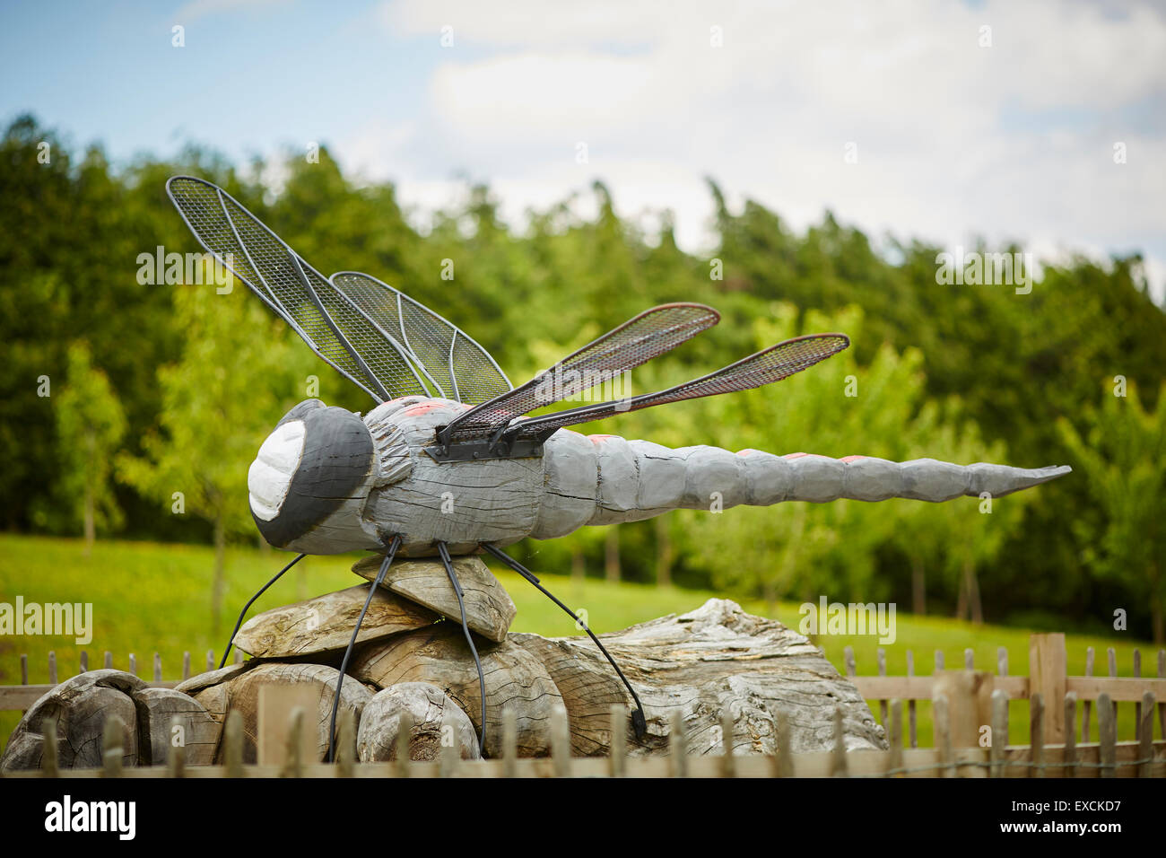 Parco Delamere arte pubblica di un scolpito dragon fly Foto Stock