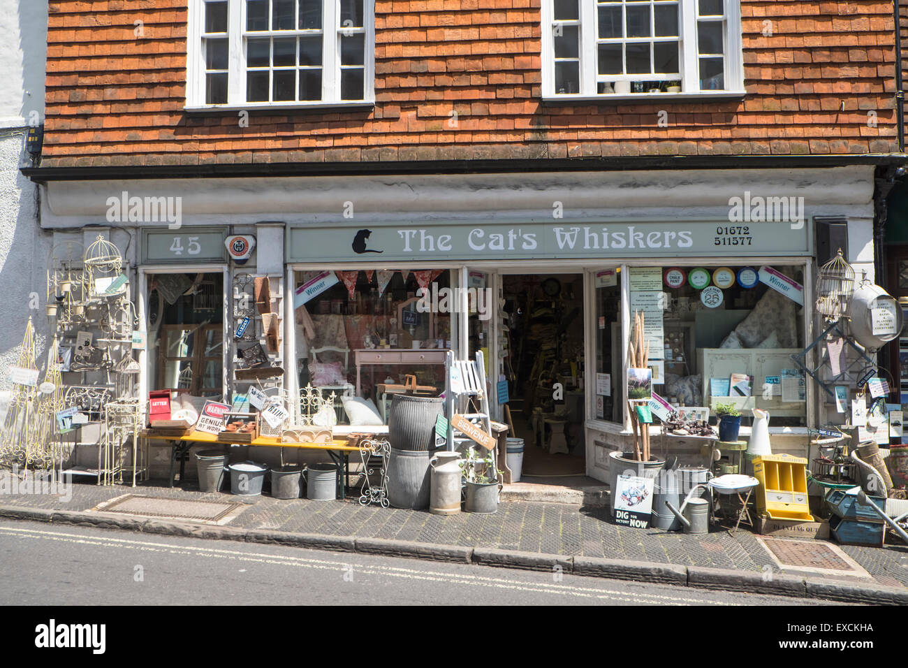 Città di Marlborough Wiltshire, Inghilterra i gatti Whiskers shop Foto Stock