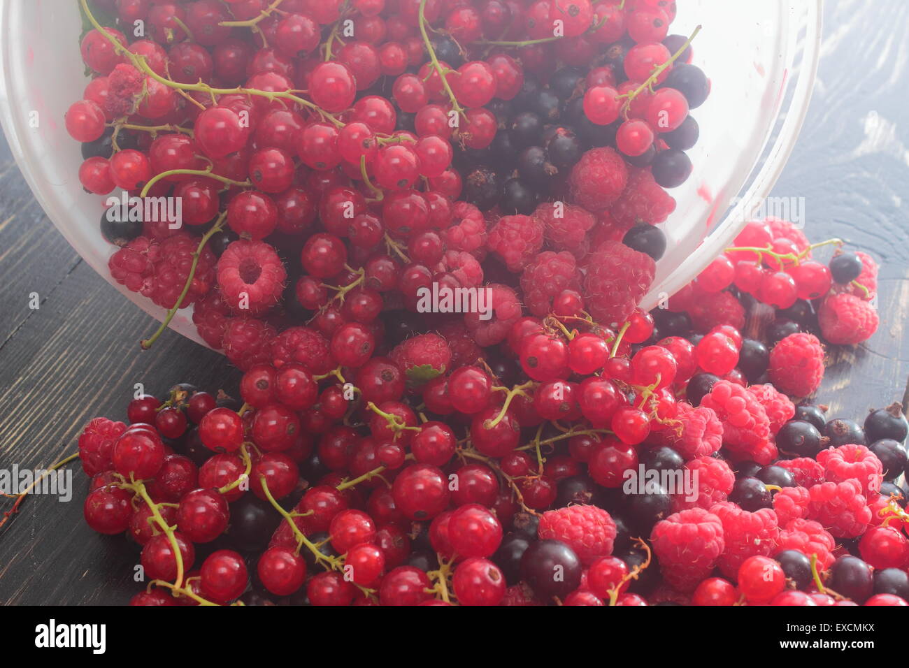 Versata dalla piastra di uve secche di Corinto, di lamponi Foto Stock