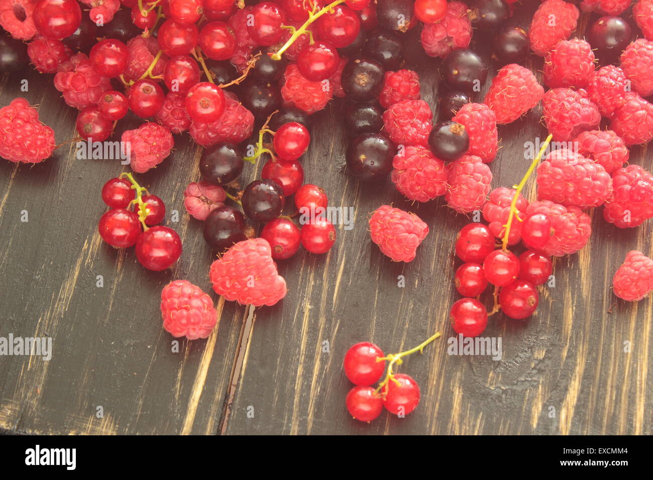 Anno resa in forma di frutti rossi, Cassis, di lamponi Foto Stock