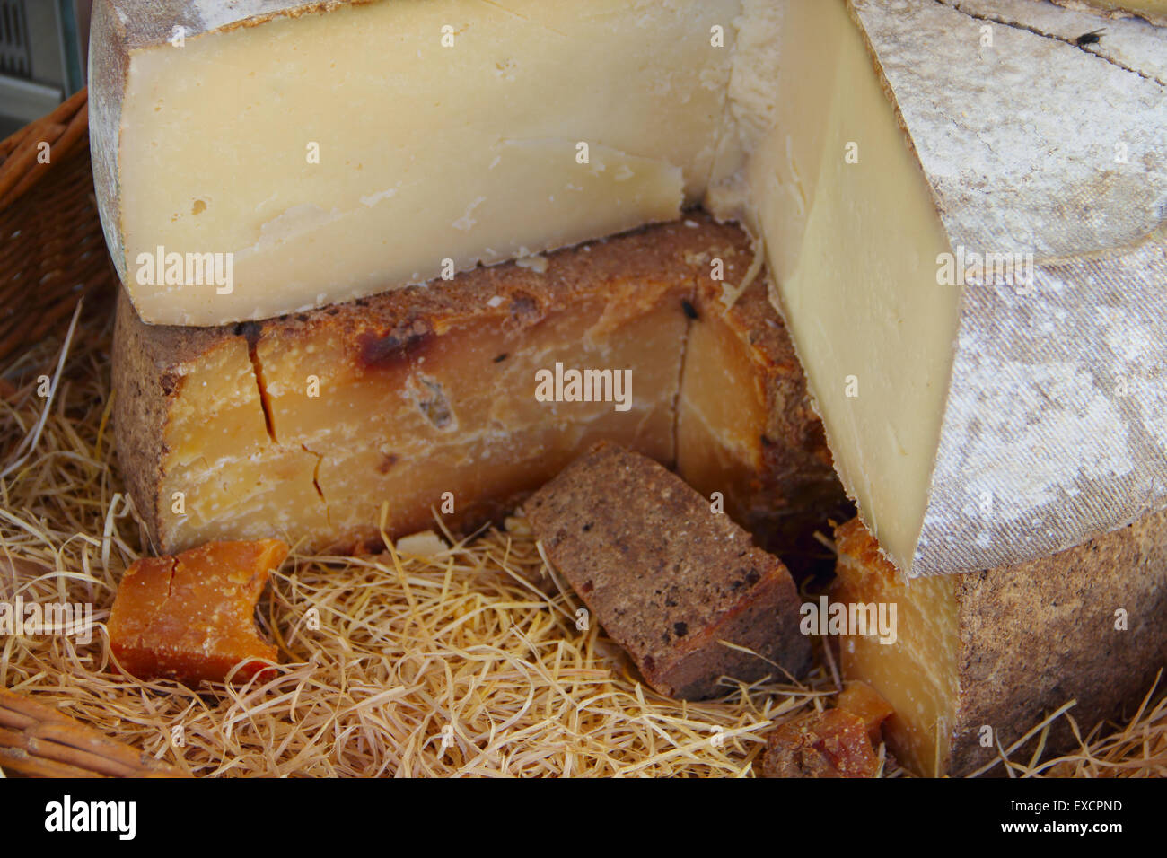 Tradizionale formaggio francese nel fieno per la vendita sul mercato della Normandia, Francia Foto Stock