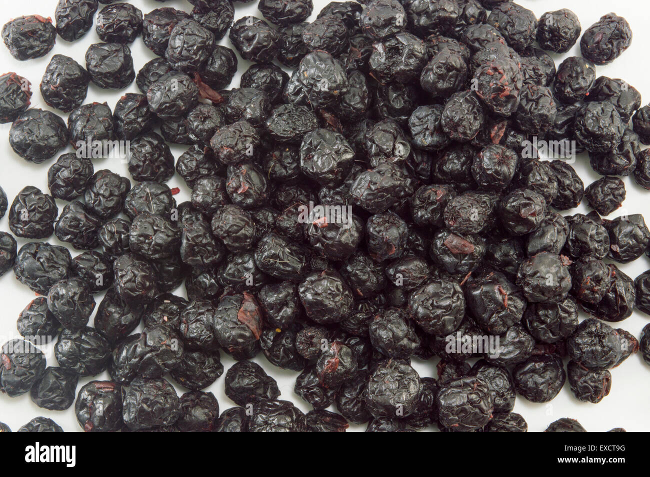 Mazzetto di essiccato bacche di Aronia sfondo di formatura Foto Stock