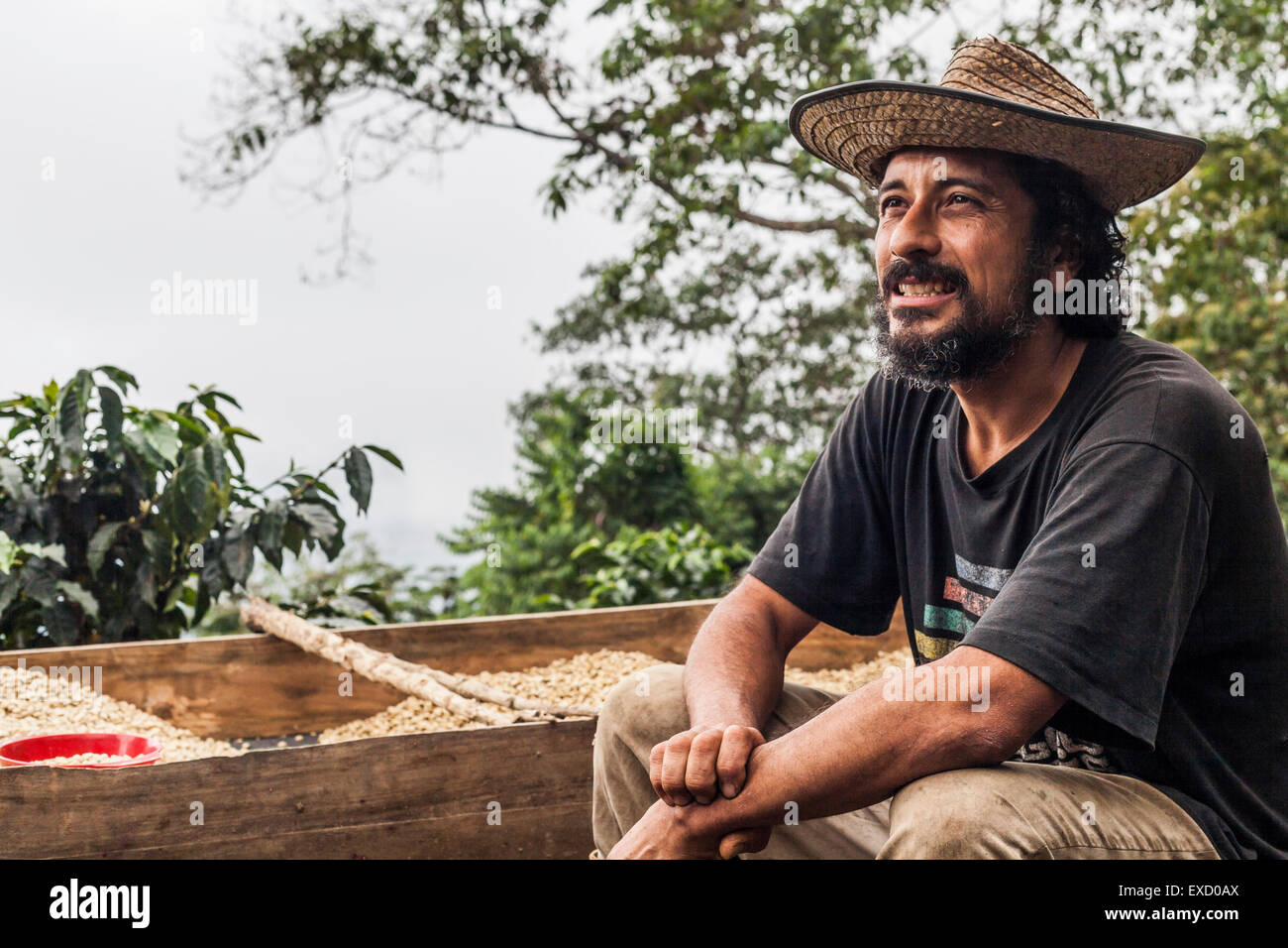 Juan Carlos Vergara, proprietario del one-man organico piantagione di caffè "ile alta Caffè' nella Sierra Nevada de Santa Marta, Colo Foto Stock