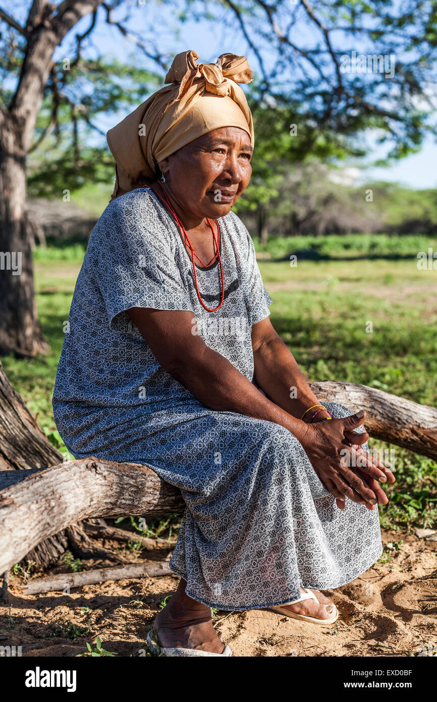 Ritratto di una mezza età Wayuu donna in un 'rancheria', o tradizionale insediamento rurale, in La Guajira, Colombia. Foto Stock