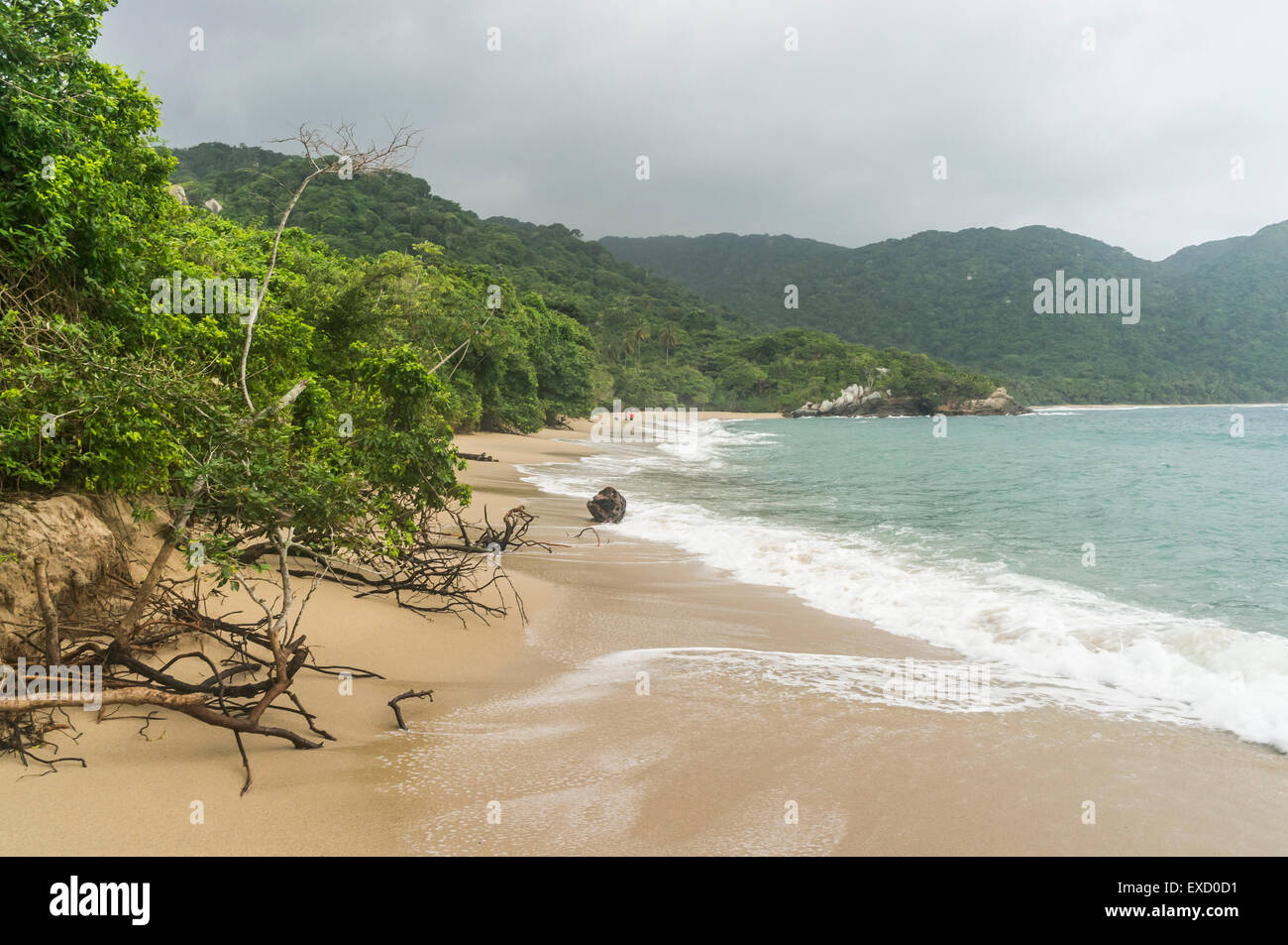 Una spiaggia isolata nel Parco Nazionale Tayrona vicino a Santa Marta, Colombia. Il parco è una delle più popolari destinazioni turistiche Foto Stock
