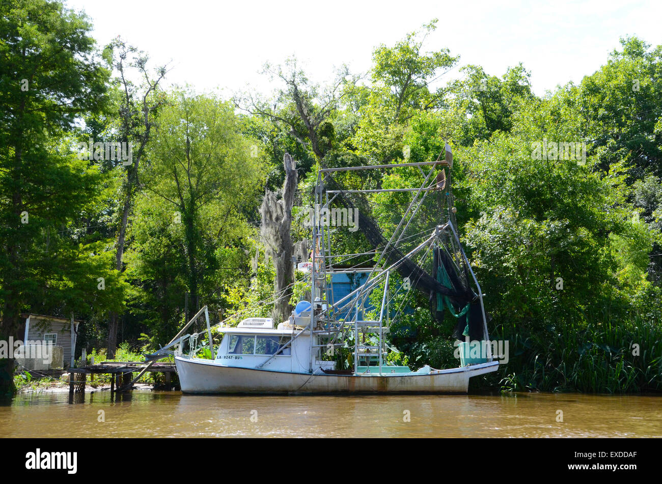 Barca da gamberetti Louisiana Swamp Pearl River bayou new orleans Foto Stock