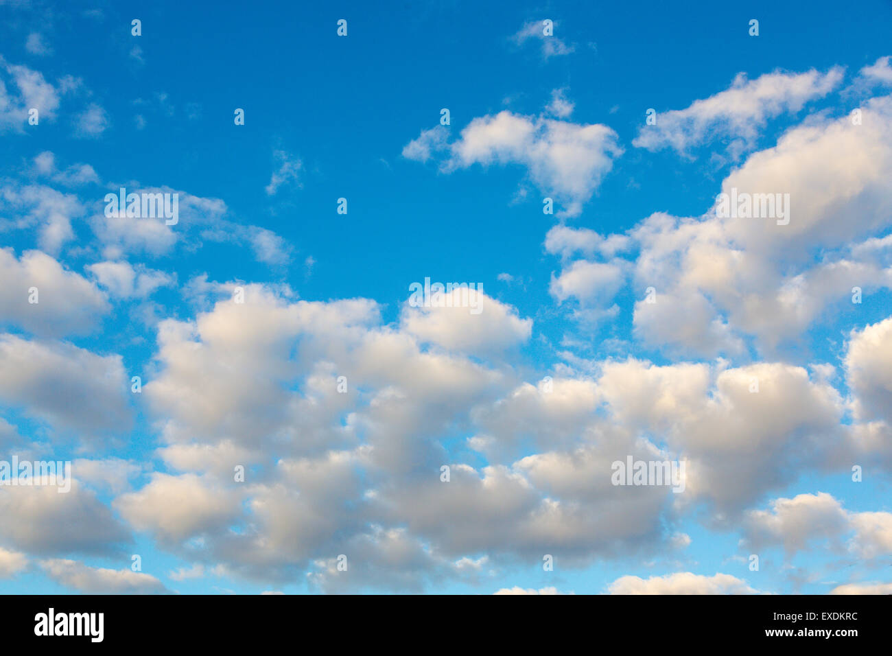Nuvole bianche in un cielo blu Foto Stock