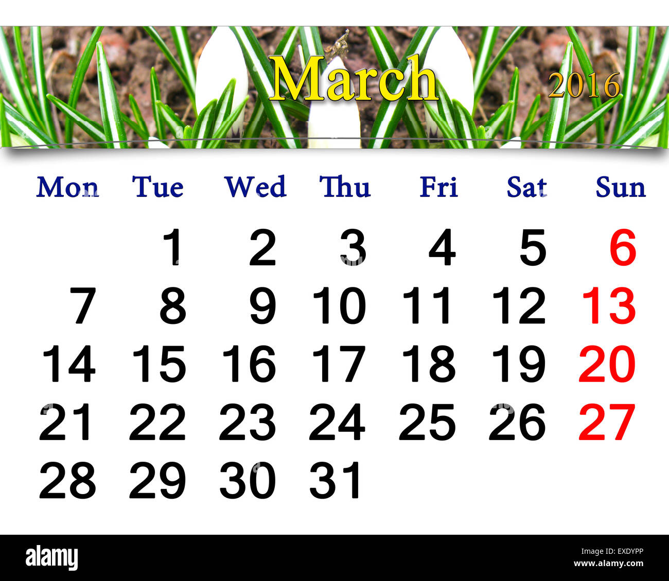 Bellissimo il calendario per il mese di marzo di 2015 anno su crocus sfondo Foto Stock