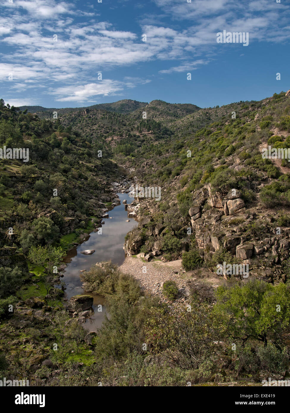 La macchia mediterranea, accanto a un fiume in Sierra de Cardeña-Montoro parco naturale. Andalusia. Spagna. Foto Stock