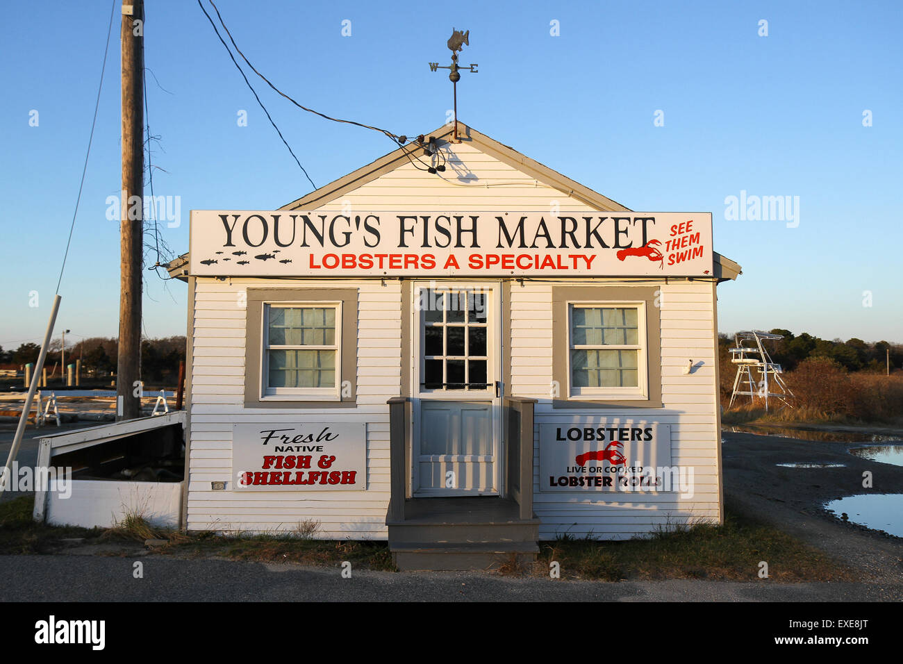 I giovani al mercato del pesce, Orleans, Cape Cod, Massachusetts, STATI UNITI D'AMERICA Foto Stock