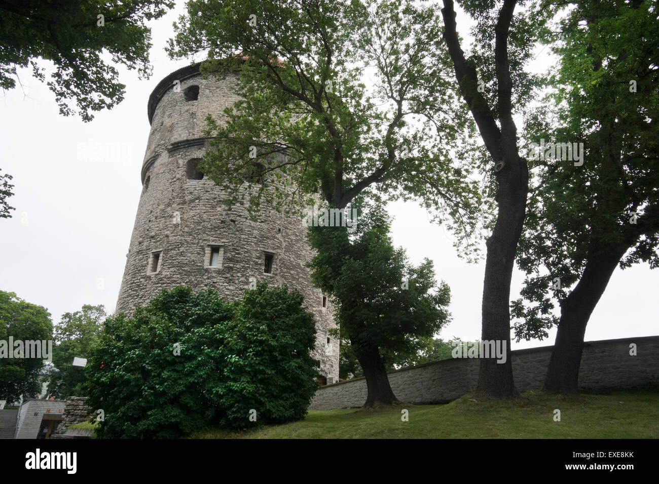 Kiek in de Kök ("Peep in cucina ") è una torre di artiglieria a Tallinn, Estonia, costruito nel 1475. Foto Stock