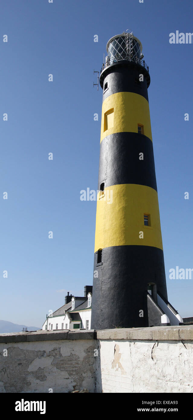 Faro di St John's punto contea di Down Irlanda del Nord Foto Stock