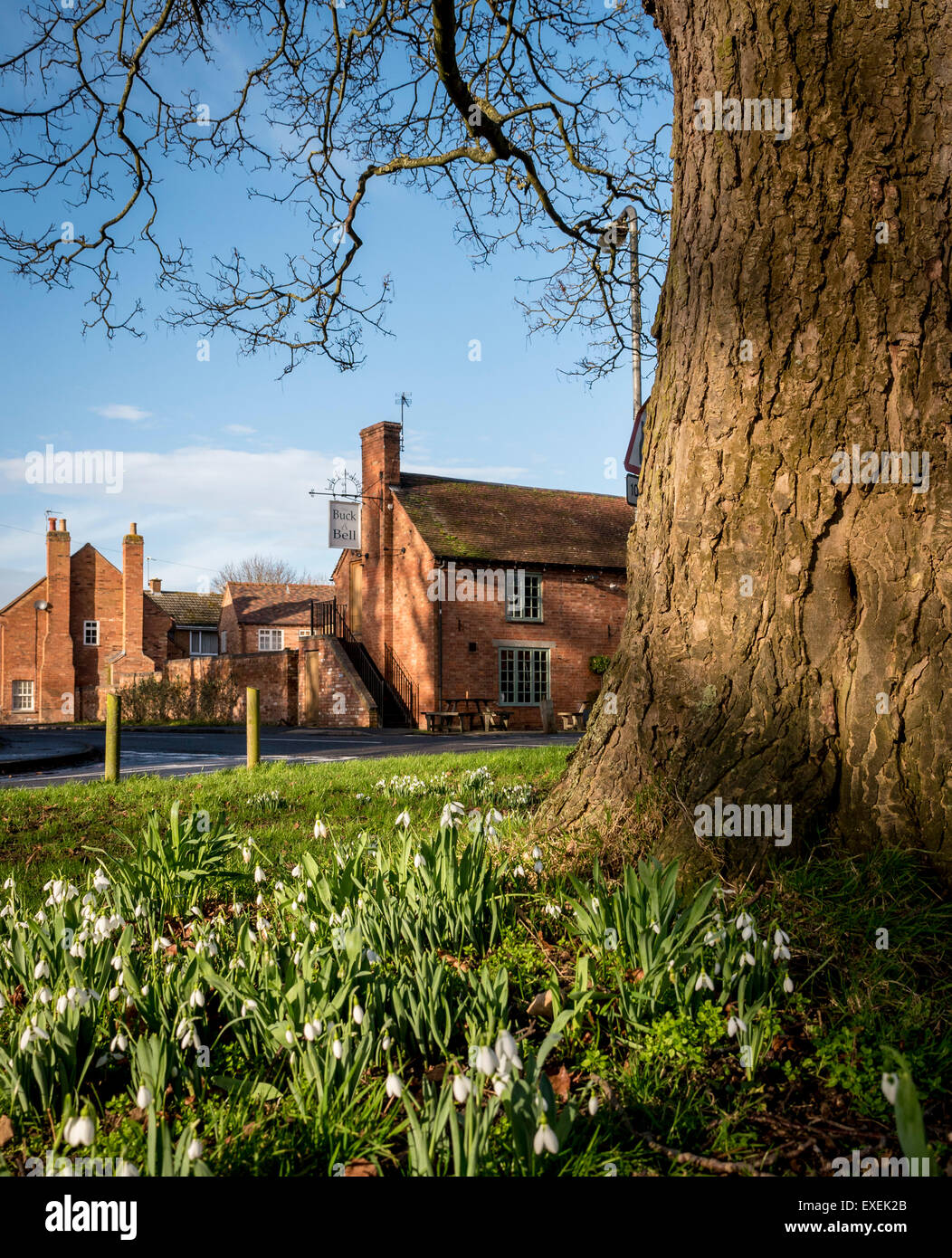 Il Buck e la campana pub in primavera Long Itchington, Warwickshire, Regno Unito Foto Stock